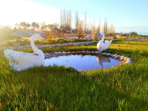 Yurt Camp Meiman Ordo