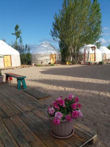 Yurt Camp Tosor