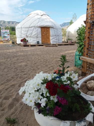 Yurt Camp Tosor