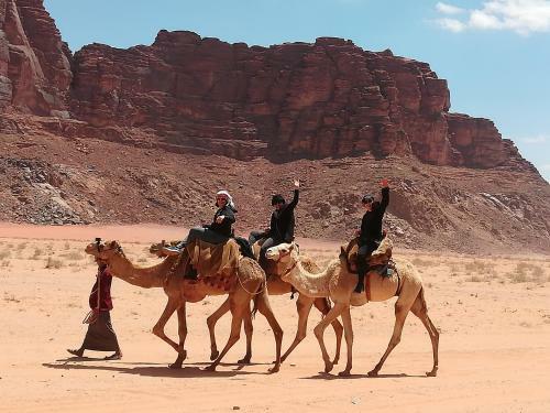 Bedouin Camp Under The Stars