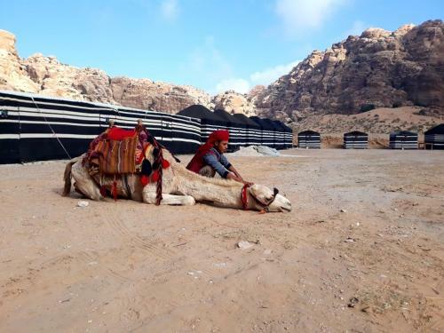Ammarin Bedouin Camp