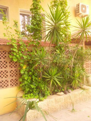 Mariam Hotel