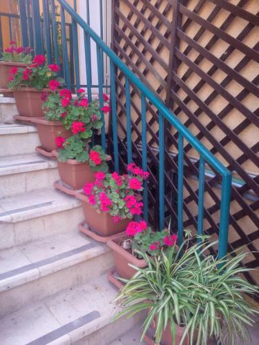 Mariam Hotel