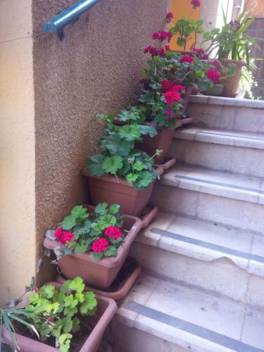 Mariam Hotel