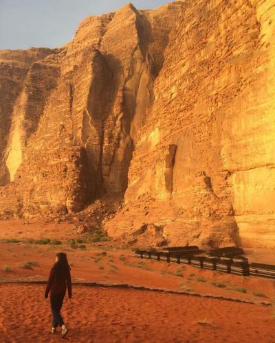 Bedouins Desert Camp
