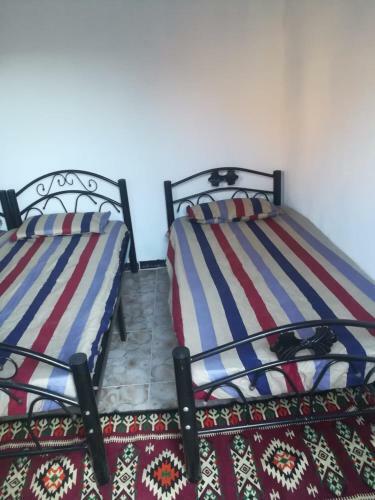 Wadi Rum Bedoin Homestay