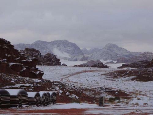 Wadi Rum Bedoin Homestay