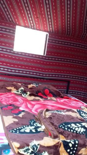 Albergue Wadi Rum 7 Pillars Camp