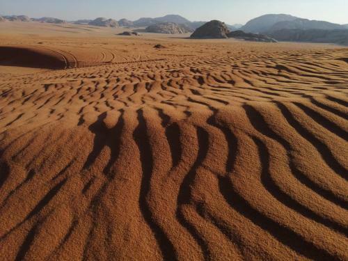 Wadi Rum Blue Sky And Tour