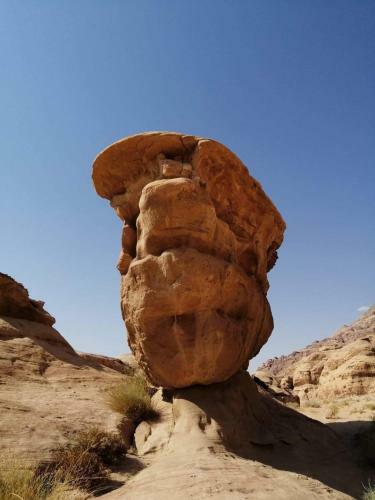 Wadi Rum Blue Sky And Tour