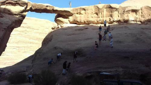Bedouin Tours Camp