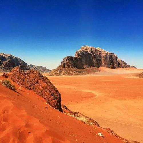 Bedouin Tours Camp