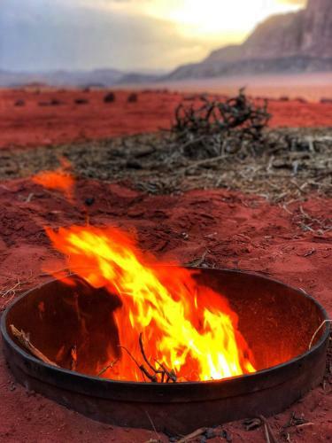Bedouin Tours Camp