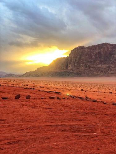 Bedouin Tours Camp