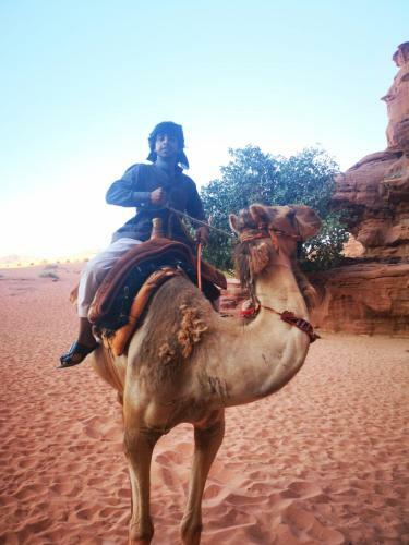 Bedouin Tours Camp