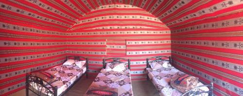 Moonshine Camp