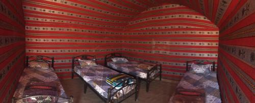 Moonshine Camp