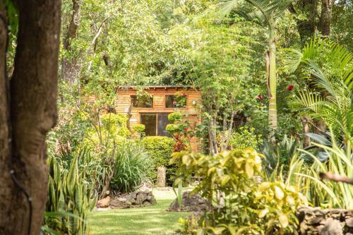 Canto De Aves Quinta Boutique