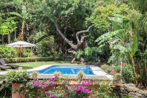 Canto De Aves Quinta Boutique