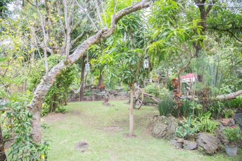 Canto De Aves Quinta Boutique