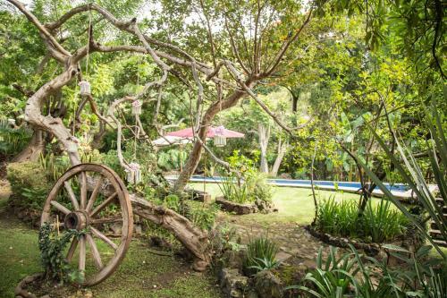 Canto De Aves Quinta Boutique