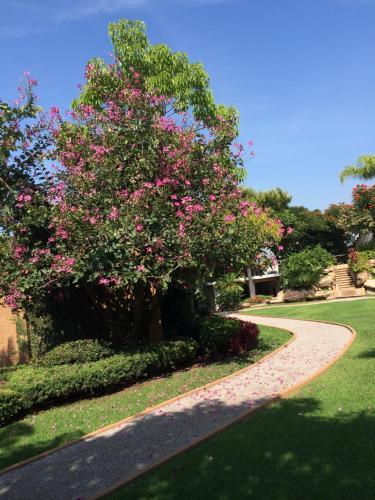 Hotel Exedra Jardin Boutique