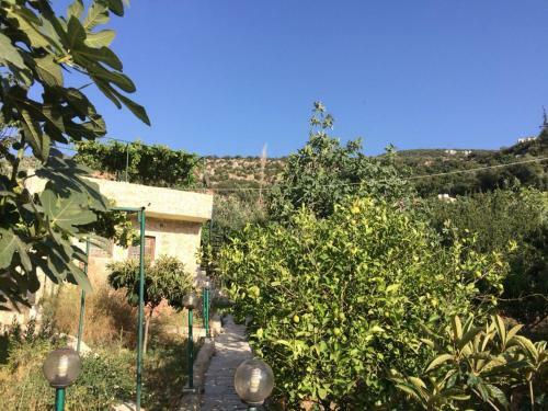 Apartamento Arjan Waterfall House