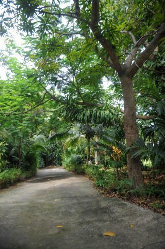 Apartamento Tranquility Cove- 2 Bedrooms