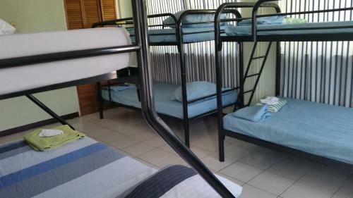 Dancehall Hostel