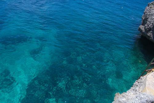 Sea Breeze Studio #1