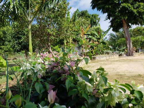 Posada Getaway Negril