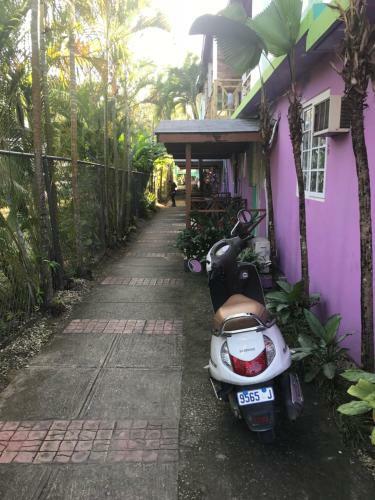 Seascape Apartments