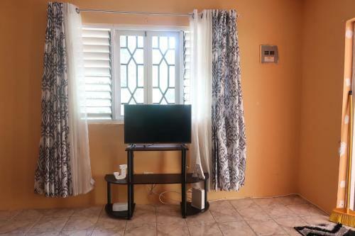 Apartamento Under The Mango Tree *sunny Apt W. Airport Shuttle