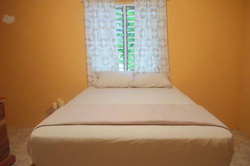 Apartamento Under The Mango Tree *sunny Apt W. Airport Shuttle