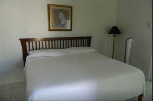 Hostal Jamrock Secret Retreat