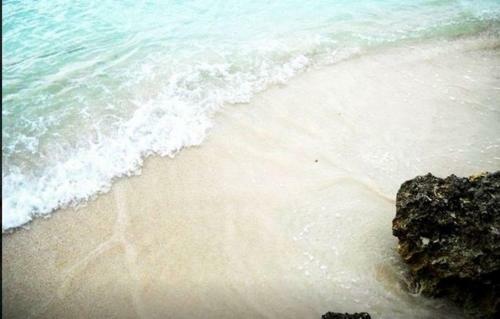 Hostal Jamrock Secret Retreat