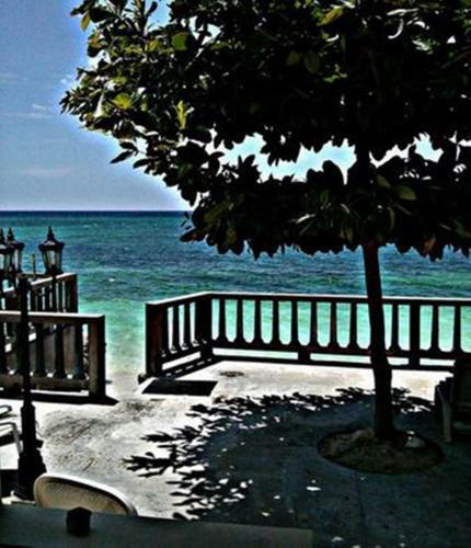 Hostal Jamrock Secret Retreat