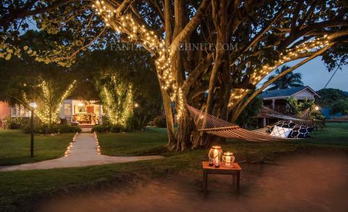 Fantasy & Beachnut Villas