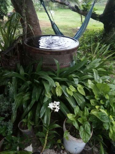 Blossom Bed And Breakfast