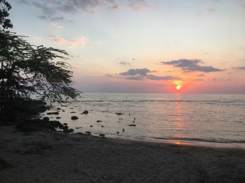 Turtles Nest Villa