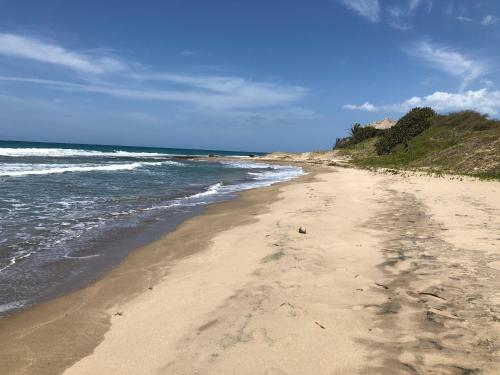 Turtles Nest Villa