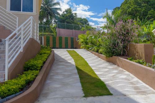 Tropical Luxury Dreams