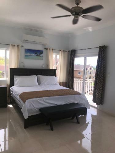 Tropical Luxury Dreams