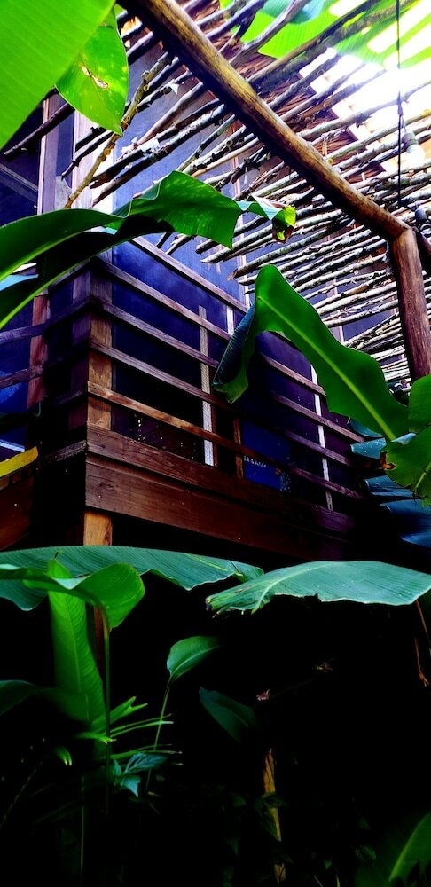 Hotel Wild Coffee Retreat