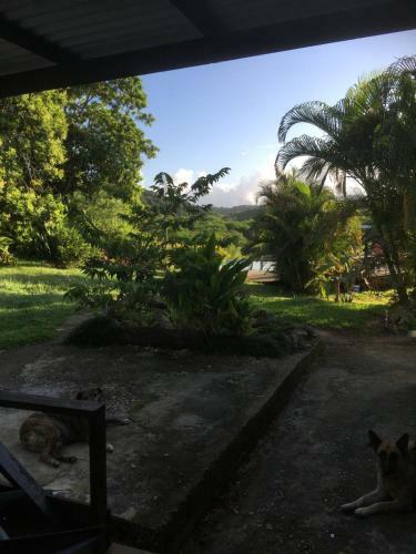 Hostal Misty Valley