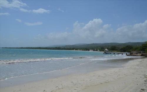 Villa Ocho Rios Under The Coolshade III