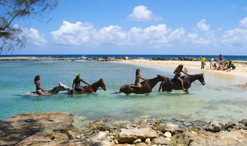 Villa Ocho Rios Under The Coolshade III