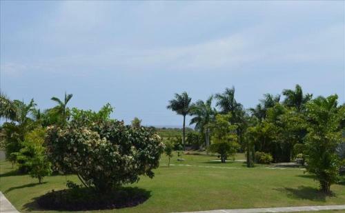 Villa Ocho Rios Under The Palms III