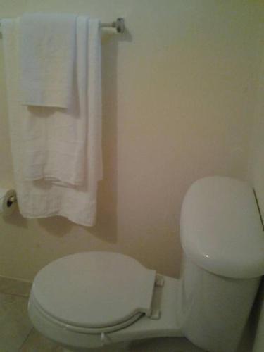 Comfort Living