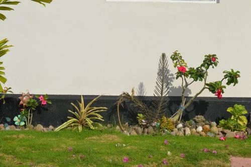 Apartamento Palm Grove Waterloo Avenue